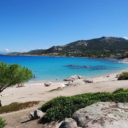 L'Orangeraie Calvi Centre A 300M De La Plage Et Du Port Parking Prive 外观 照片