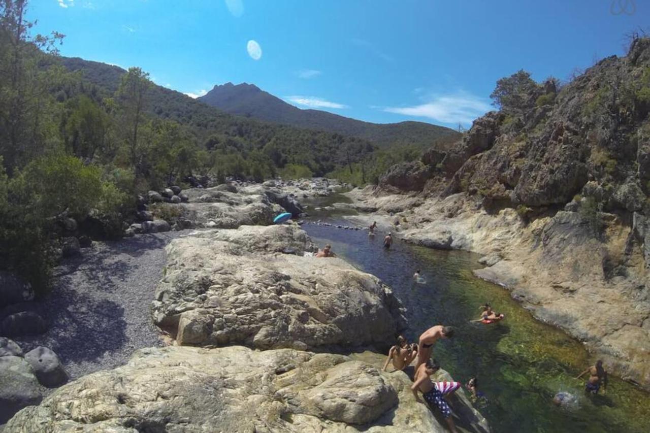 L'Orangeraie Calvi Centre A 300M De La Plage Et Du Port Parking Prive 外观 照片