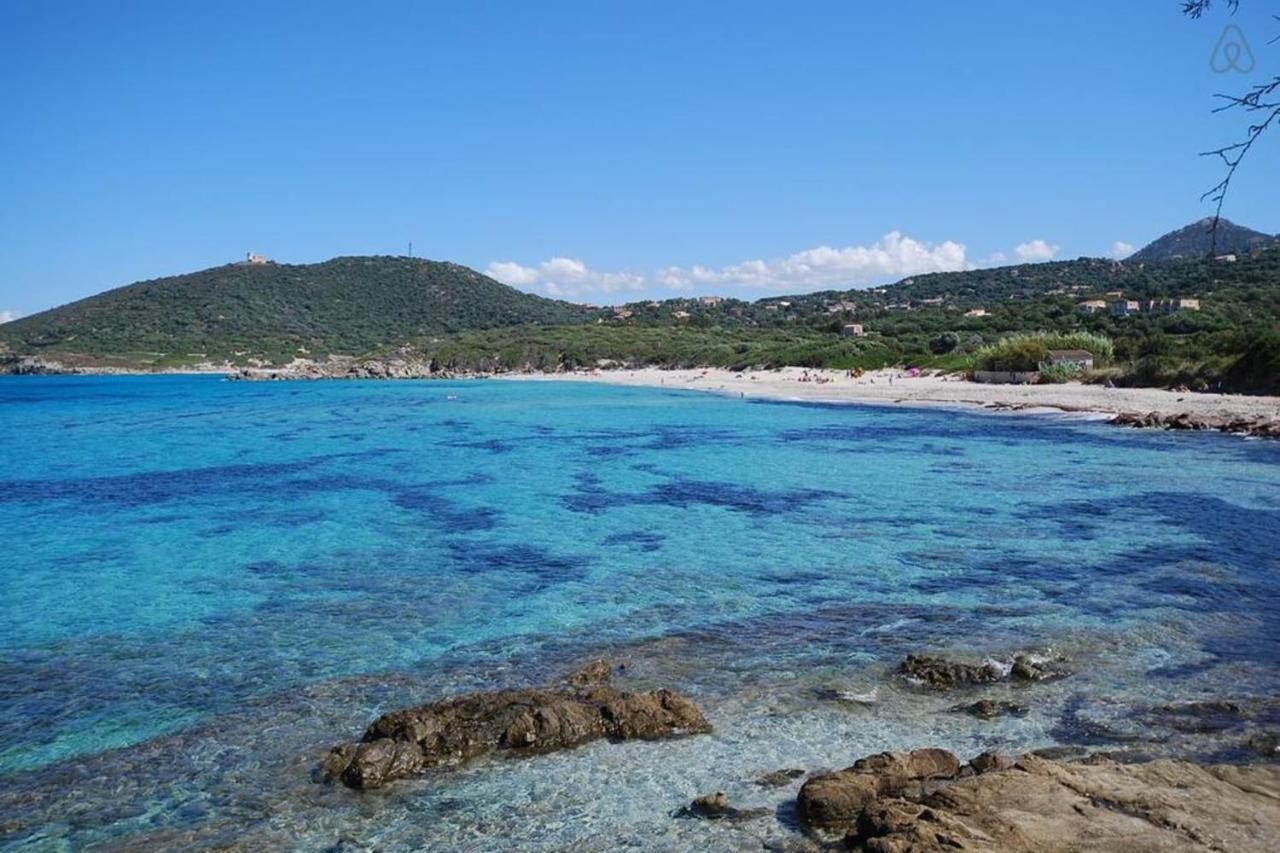 L'Orangeraie Calvi Centre A 300M De La Plage Et Du Port Parking Prive 外观 照片