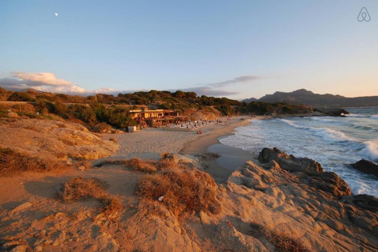 L'Orangeraie Calvi Centre A 300M De La Plage Et Du Port Parking Prive 外观 照片