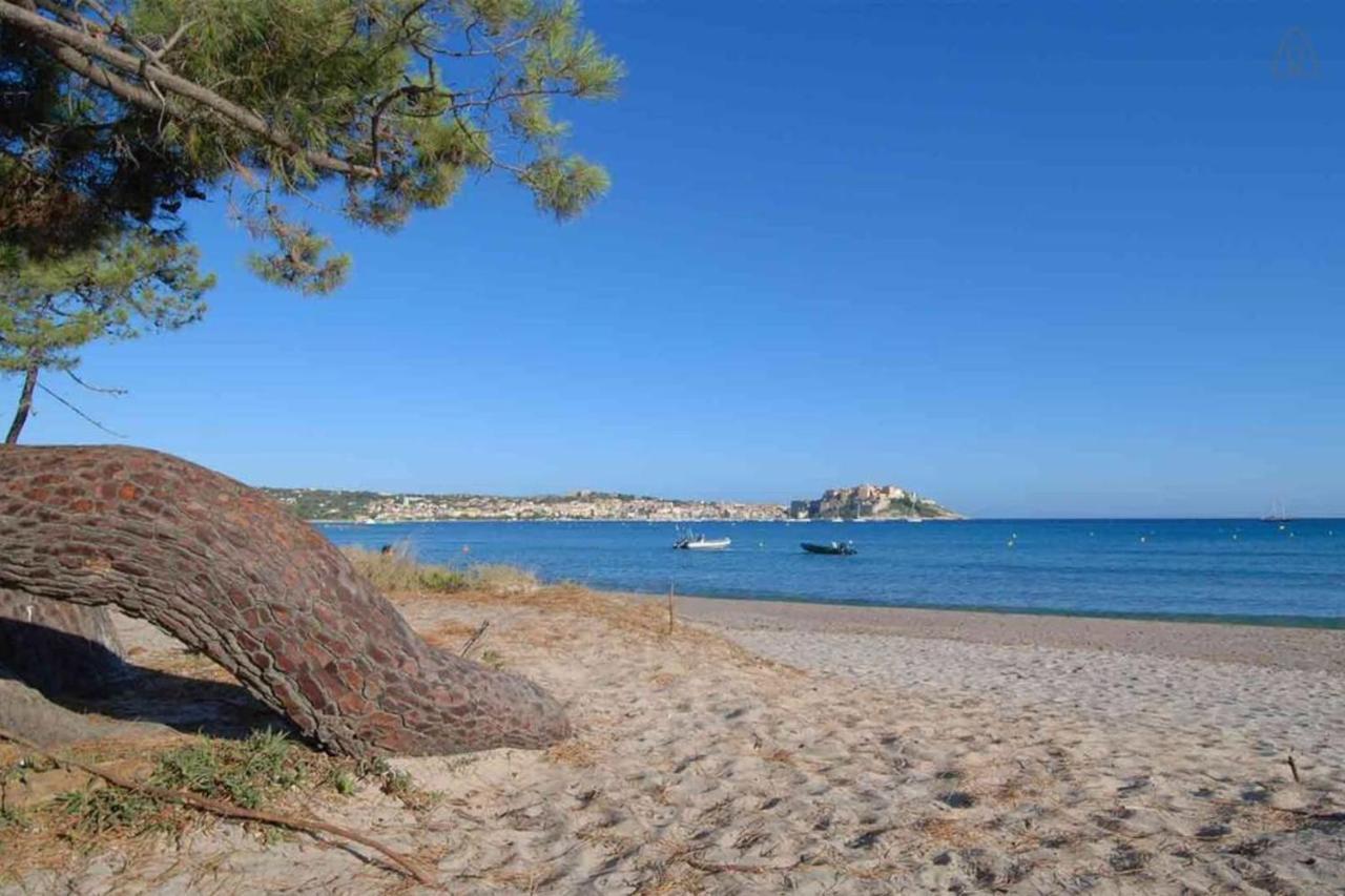 L'Orangeraie Calvi Centre A 300M De La Plage Et Du Port Parking Prive 外观 照片